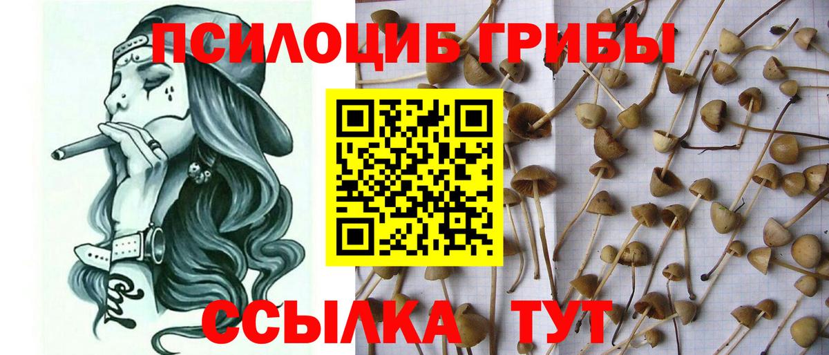 Галлюциногенные грибы мицелий Вятские Поляны