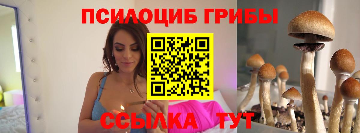 Вятские Поляны  Псилоцибиновые грибы мицелий  хочу   Вход с VPN  Псилоцибиновые грибы Magic Shrooms 